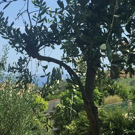 Chez Cecilia , Bellissima Casa Indipendente Con Giardino E Patio Appartamento